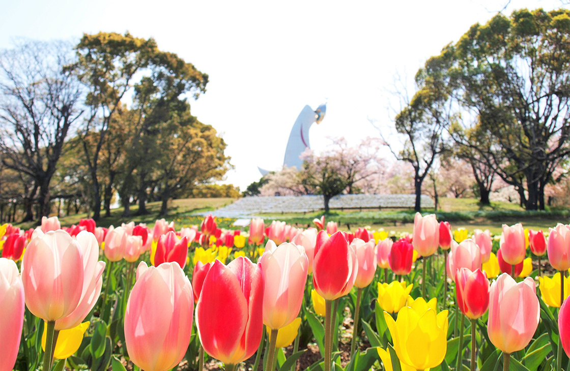 万博記念公園