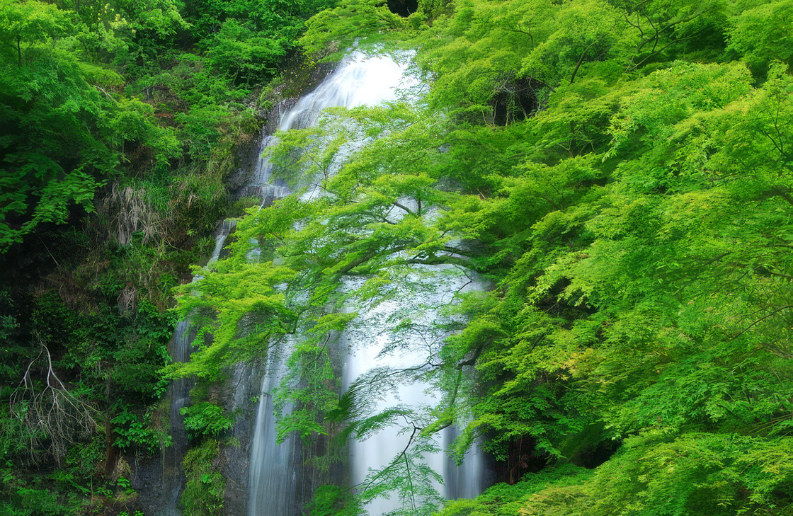 箕面大滝