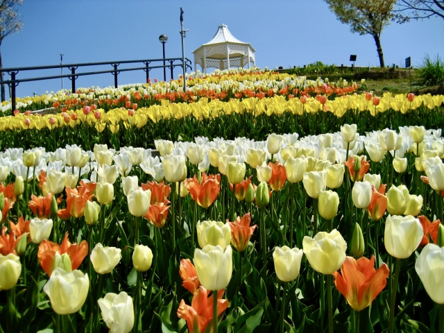 3泊4日の関西家族旅行！レンタカーで大阪・神戸・淡路島・京都をめぐる関西いいとこどりモデルコース