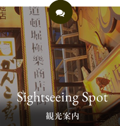Sightseeing 観光案内